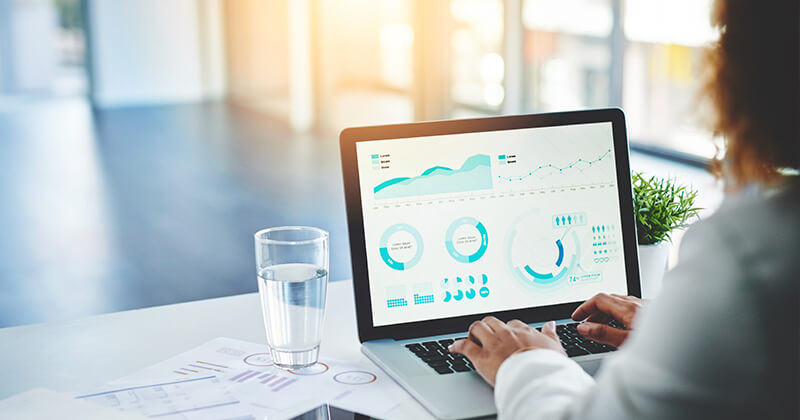 person looking at graphs on laptop