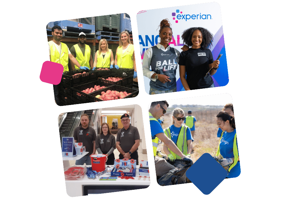 Group of Experian volunteers picking up trash on the side of the road