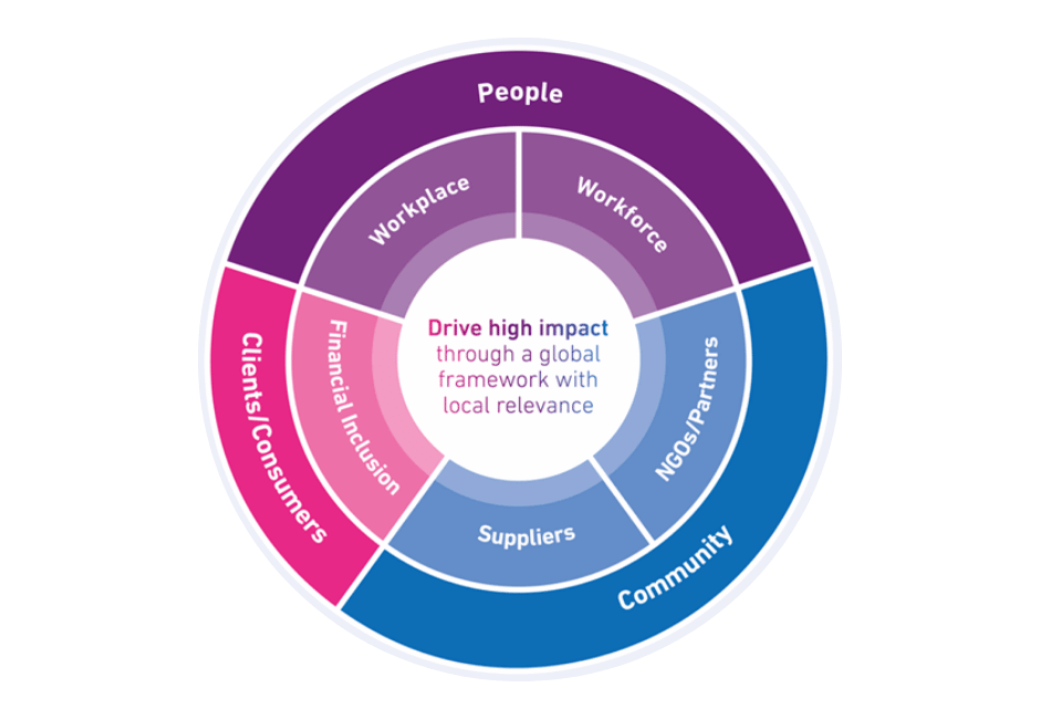 Experian DEI framework