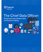 Chief Data Officer Report